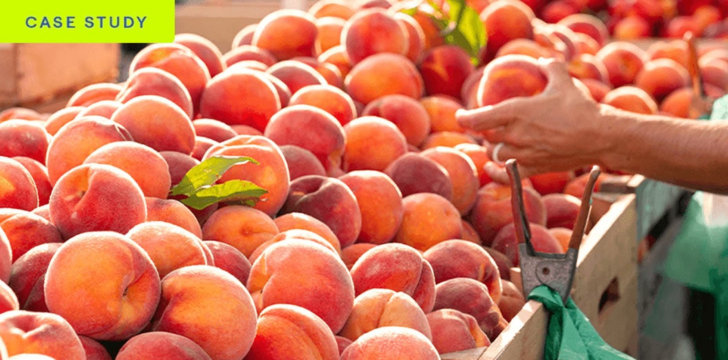 Case-Study-Titan-Farms-Promo-WG