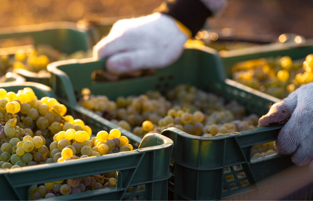fresh-produce fresh-produce